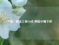 午盘：道指上涨370点 纳指小幅下跌