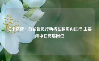 汇丰高管：首轮裁员行动将在数周内进行 主要集中在高层岗位