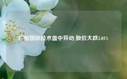 广船国际技术盘中异动 股价大跌5.01%