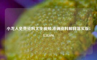 小龙人免费资料大全视频,准确资料解释落实版58.58.696