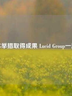 削减成本举措取得成果 Lucid Group一度涨超6%