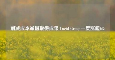 削减成本举措取得成果 Lucid Group一度涨超6%