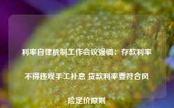 利率自律机制工作会议强调：存款利率不得违规手工补息 贷款利率要符合风险定价原则