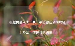 极越内部人士：夏一平仍留在公司现场办公，正在寻求融资