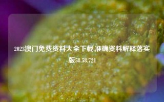 2023澳门免费资料大全下载,准确资料解释落实版58.58.721