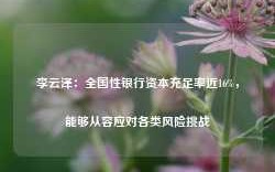 李云泽：全国性银行资本充足率近16%，能够从容应对各类风险挑战