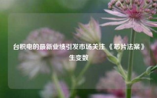 台积电的最新业绩引发市场关注 《芯片法案》生变数