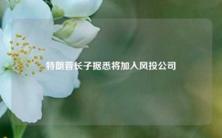 特朗普长子据悉将加入风投公司