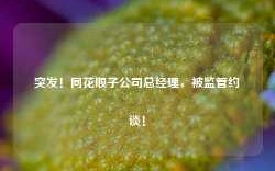 突发！同花顺子公司总经理，被监管约谈！