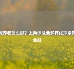 大城养老怎么做？上海保险业多样化探索养老金融