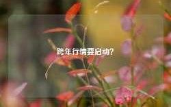 跨年行情要启动？