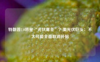 特朗普2.0将是“光伏寒冬”？美光伏巨头：不太可能全面取消补贴