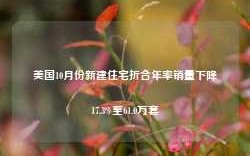 美国10月份新建住宅折合年率销量下降17.3%至61.0万套