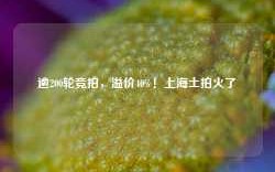 逾200轮竞拍，溢价40%！上海土拍火了