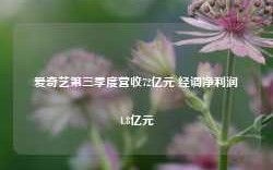 爱奇艺第三季度营收72亿元 经调净利润4.8亿元