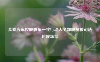 众泰汽车控股股东一致行动人全部股权被司法轮候冻结