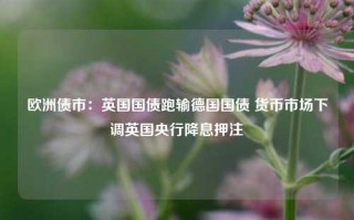 欧洲债市：英国国债跑输德国国债 货币市场下调英国央行降息押注