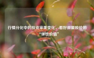 行情分化中的投资审美变化，看好微盟股价的“弹性价值”