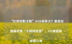 “比特币影子股”MSTR有多火？基金经理高呼是“不同的怪兽”，ETF被限制掉期交易