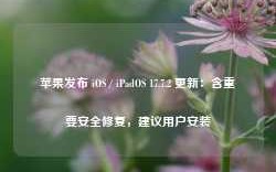 苹果发布 iOS / iPadOS 17.7.2 更新：含重要安全修复，建议用户安装