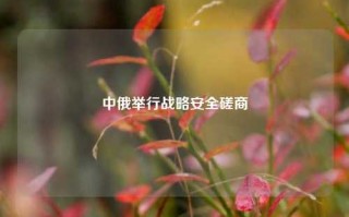 中俄举行战略安全磋商