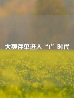 大额存单进入“1”时代