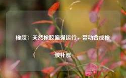 橡胶：天然橡胶偏强运行，带动合成橡胶补涨