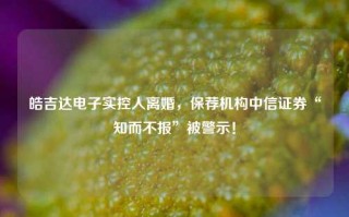 皓吉达电子实控人离婚，保荐机构中信证券“知而不报”被警示！