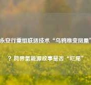 永安行重组联适技术“乌鸦难变凤凰”？跨界氢能源故事是否“烂尾”