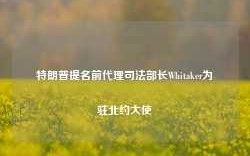 特朗普提名前代理司法部长Whitaker为驻北约大使