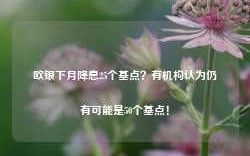 欧银下月降息25个基点？有机构认为仍有可能是50个基点！