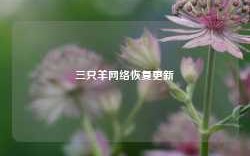 三只羊网络恢复更新