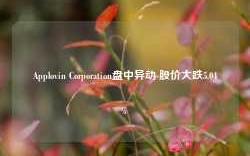 Applovin Corporation盘中异动 股价大跌5.04%