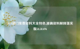 2024澳门免费资料大全特色,准确资料解释落实版58.58.696