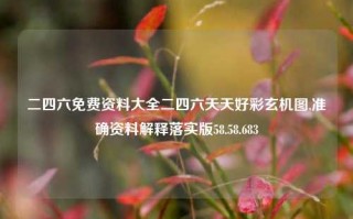 二四六免费资料大全二四六天天好彩玄机图,准确资料解释落实版58.58.683