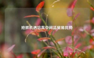 抢抓机遇培育中间品贸易优势