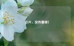 芯片，突传重磅！