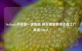 Stellantis开启新一波裁员 将在俄亥俄州吉普工厂再裁1100人