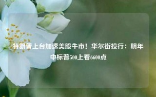 特朗普上台加速美股牛市！华尔街投行：明年中标普500上看6600点