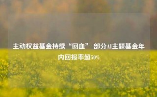 主动权益基金持续“回血” 部分AI主题基金年内回报率超50%