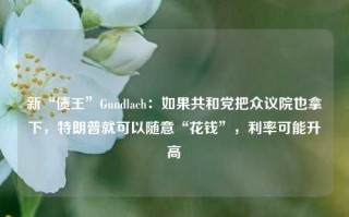 新“债王”Gundlach：如果共和党把众议院也拿下，特朗普就可以随意“花钱”，利率可能升高