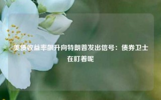 美债收益率飙升向特朗普发出信号：债券卫士在盯着呢