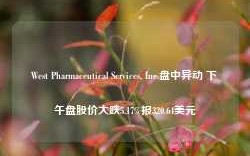 West Pharmaceutical Services, Inc.盘中异动 下午盘股价大跌5.17%报320.64美元