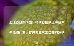 上任首日即推出！特朗普团队正准备大型能源计划，促进天然气出口和石油钻探