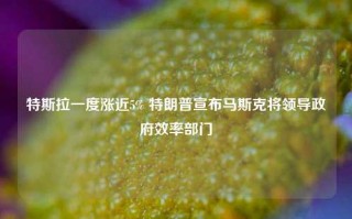 特斯拉一度涨近5% 特朗普宣布马斯克将领导政府效率部门