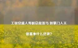 工银安盛人寿副总裁落马 新掌门人王都富拿什么逆袭？