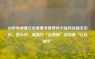 台积电被爆已应美要求暂停向大陆供送相关芯片，国台办：美国打“台湾牌”目的是“以台遏华”