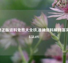 香港正版资料免费大全铁,准确资料解释落实版58.58.691