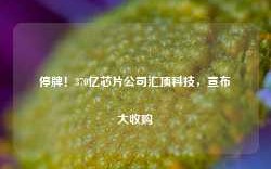 停牌！370亿芯片公司汇顶科技，宣布大收购