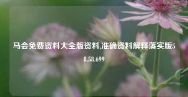 马会免费资料大全版资料,准确资料解释落实版58.58.699